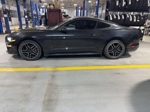 2023 Ford Mustang EcoBoost