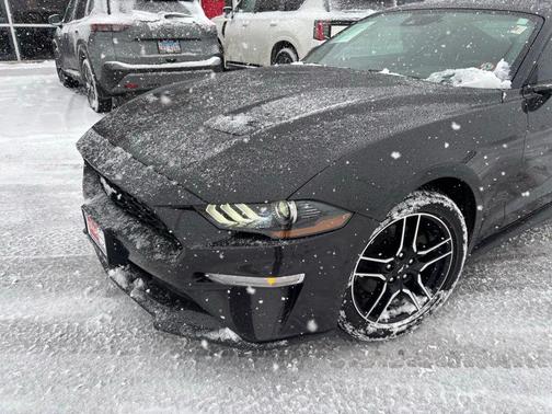 2023 Ford Mustang EcoBoost