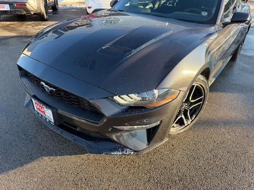 2023 Ford Mustang EcoBoost