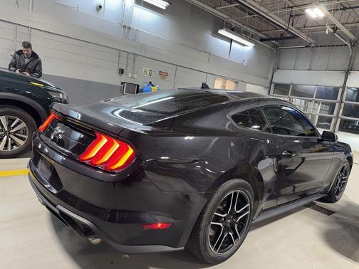 2023 Ford Mustang EcoBoost