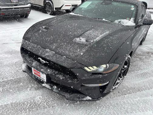 2023 Ford Mustang EcoBoost