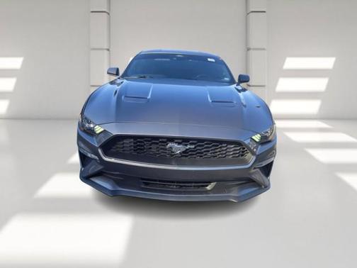 2023 Ford Mustang EcoBoost