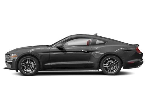 2023 Ford Mustang EcoBoost