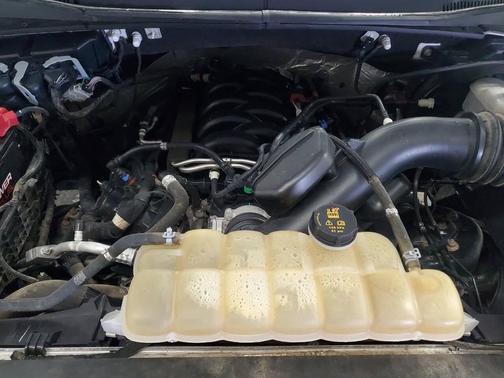 Oxford White 2019 Ford F-150 XL