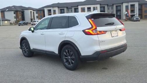 Platinum White Pearl 2026 Honda CR-V EX-L 2WD