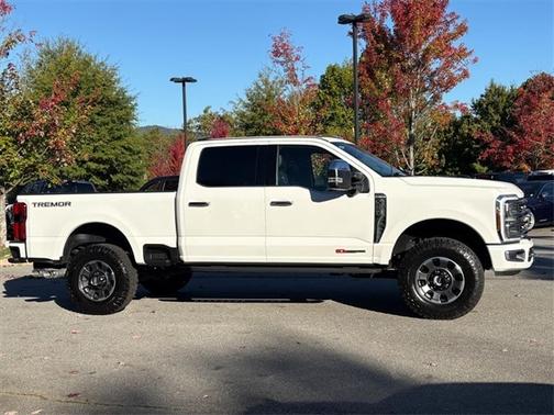 2024 Ford F-250 PLATINUM