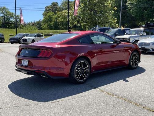 Rapid Red Metallic Tinted Clearcoat 2022 Ford Mustang EcoBoost