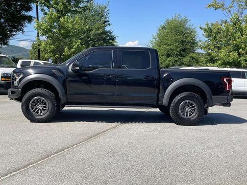 Agate Black Metallic 2019 Ford F-150 Raptor