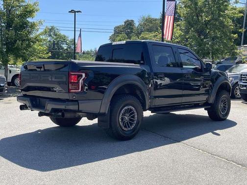 Agate Black Metallic 2019 Ford F-150 Raptor
