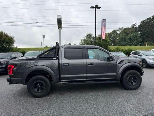 Magnetic 2018 Ford F-150 Raptor