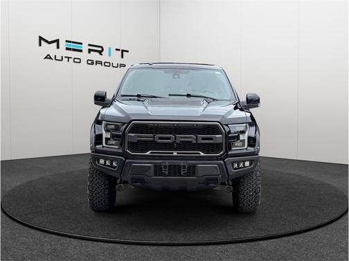 SHADOW BLACK 2018 Ford F-150 Raptor