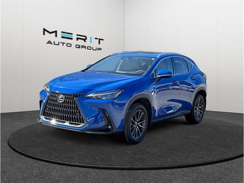 2025 Lexus NX 250 Premium