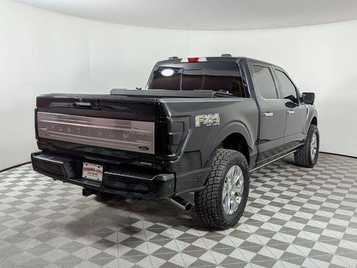 Agate Black Metallic 2021 Ford F-150 Platinum