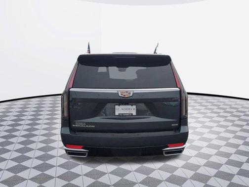 Wilder Metallic 2022 Cadillac Escalade Premium Luxury