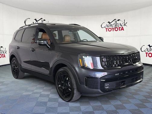 Panthera Metal 2025 Kia Telluride SX X-Line