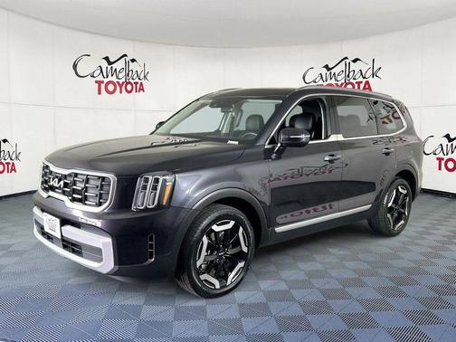 Panthera Metal 2025 Kia Telluride S