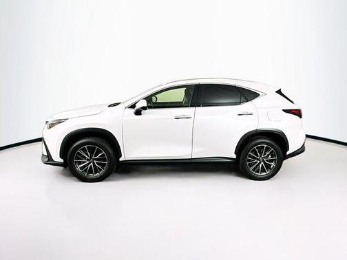 2024 Lexus NX 250 Base