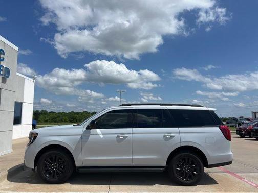 Silver 2025 Ford Expedition Active