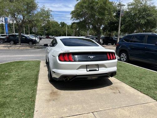 Oxford White 2019 Ford Mustang EcoBoost