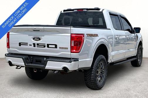 Avalanche 2023 Ford F-150 Tremor