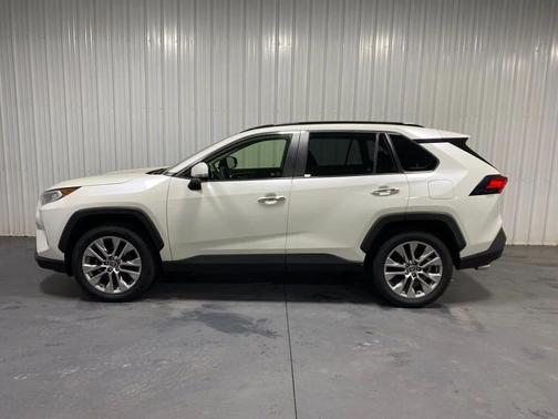 Blizzard Pearl 2019 Toyota RAV4 Limited