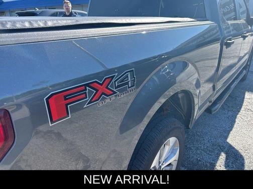 Magnetic 2017 Ford F-150 XL