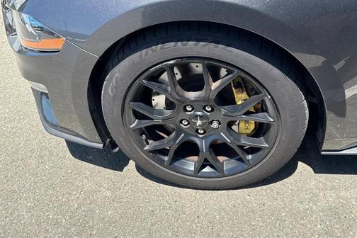 Magnetic 2018 Ford Mustang EcoBoost Premium