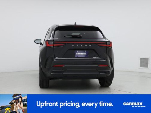 2025 Lexus NX 250 