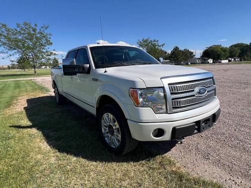 2010 Ford F-150 Platinum