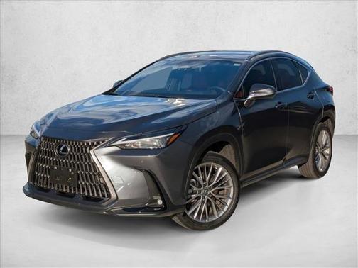 2025 Lexus NX 350h Premium
