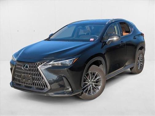 2023 Lexus NX 350 Premium