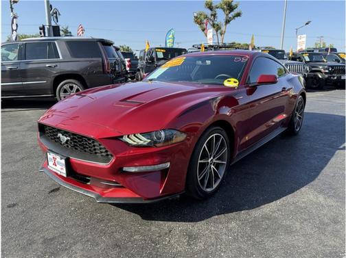 2019 Ford Mustang EcoBoost
