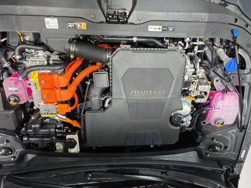 2026 Hyundai ELANTRA HEV Blue