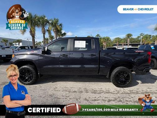 Ash 2024 Chevrolet Silverado 1500 LT Trail Boss