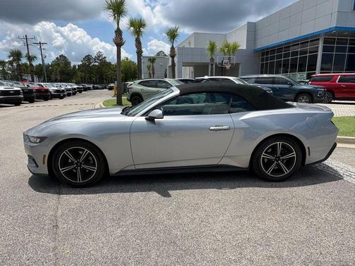 Silver Metallic 2024 Ford Mustang EcoBoost Premium