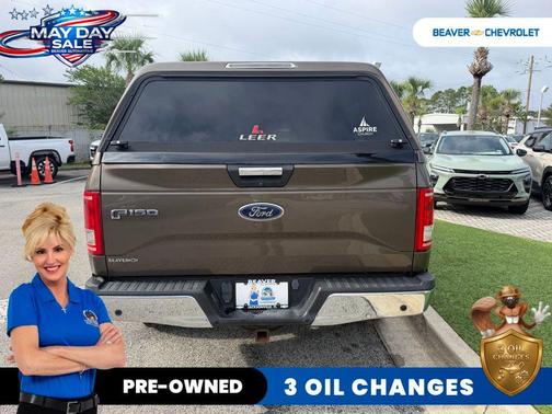 Caribou Metallic 2015 Ford F-150 XLT