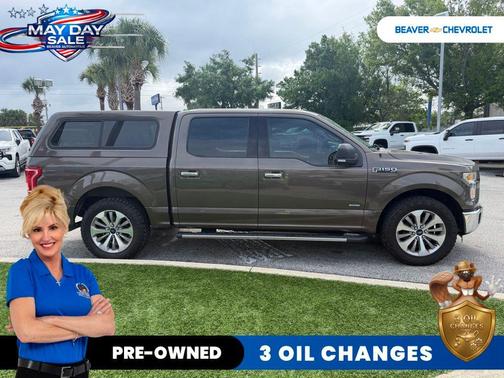 Caribou Metallic 2015 Ford F-150 XLT