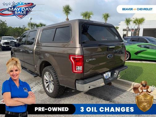 Caribou Metallic 2015 Ford F-150 XLT