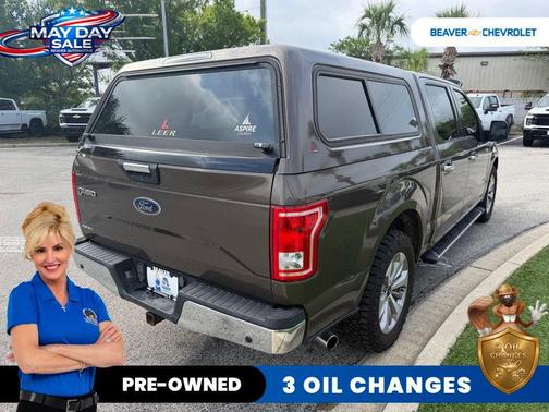 Caribou Metallic 2015 Ford F-150 XLT