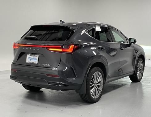 2025 Lexus NX 350h Premium