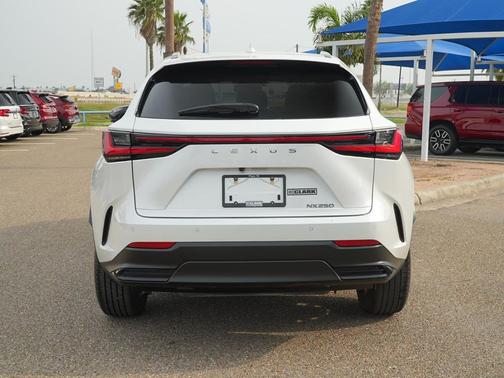 2024 Lexus NX 250 Premium