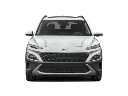 Cactus Fern 2022 Hyundai KONA SEL