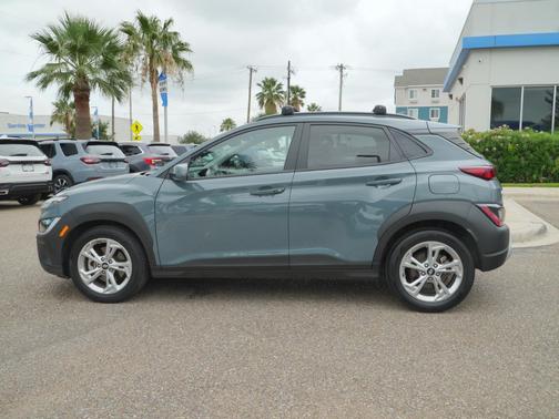 Cactus Fern 2022 Hyundai KONA SEL