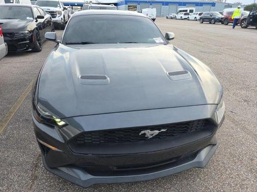 2019 Ford Mustang EcoBoost