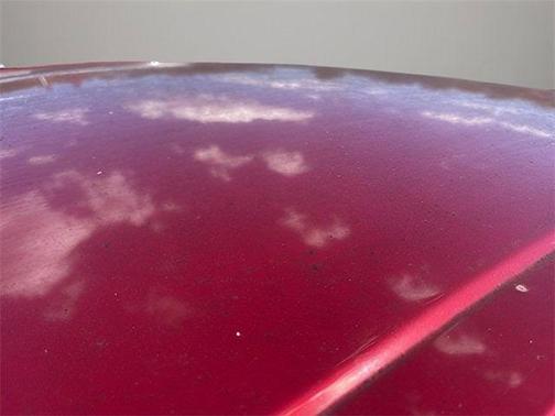 2019 Toyota Prius XLE