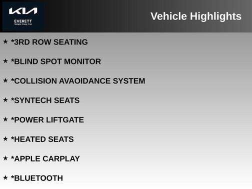 Panthera Metal 2024 Kia Carnival EX
