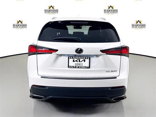 2020 Lexus NX 300 Luxury