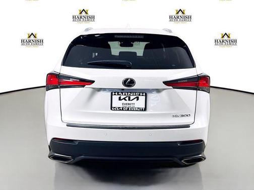 2020 Lexus NX 300 Luxury