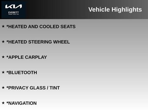 Panthera Metal 2024 Kia EV9 Wind