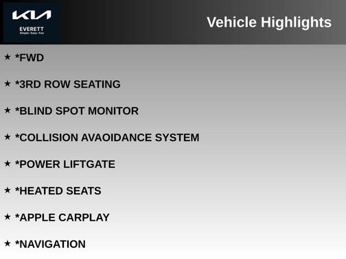 Panthera Metal 2026 Kia Carnival EX